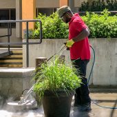 pressure-washing-building-patios-walkways